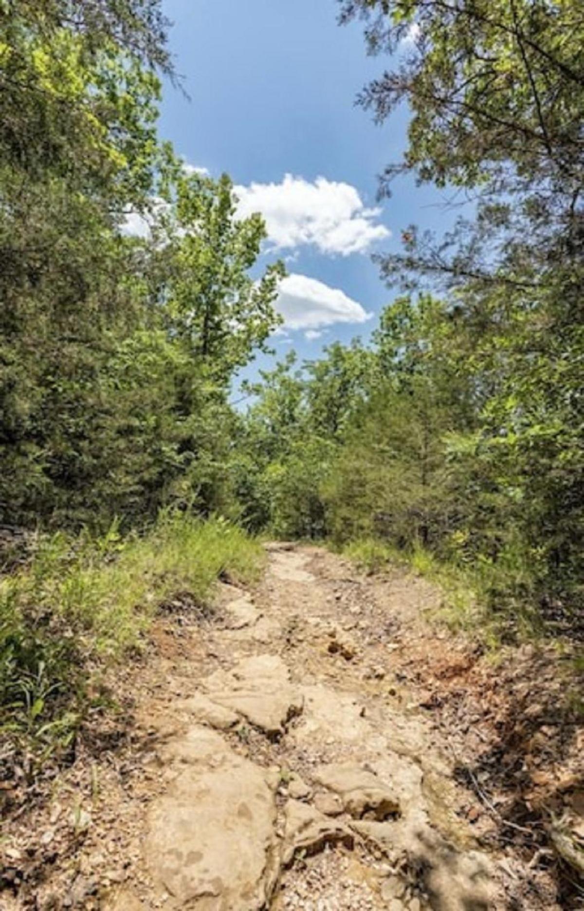 Beautiful Branson Getaway-Next To Silver Dollar City &Tablerock-Family Amenities Luaran gambar